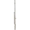 Roy Benson FL-402R (RB700.407) fuvola