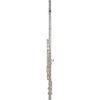 Roy Benson FL-402E2 (RB700.413) fuvola