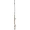 Roy Benson FL-602E (RB700.432) fuvola