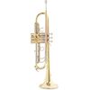Roy Benson TR-403 (RB701.084) Bb trombita