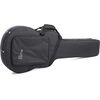 GEWA FX Light (F560.020) akusztikus gitártok
