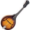 Recording King RAM-3-TS Tobacco Burst A-Mandolin