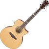 Ibanez AE170-NTR elektro-akusztikus gitár