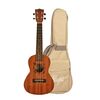 Flight NUC310 koncert ukulele