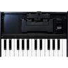 Roland Boutique K-25m kompakt billentyűzet