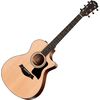 Taylor 312CE elektro-akusztikus gitár