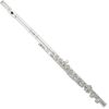 Roy Benson FL-402E (RB700.403) fuvola