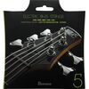 Ibanez IEBS5C 45-130 5-húros basszusgitárhúr