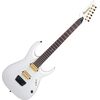 Ibanez JBM10FX-PWM Jake Bowen elektromos gitár