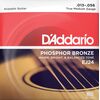 D'Addario EJ24 Phosphor Bronze 13-56 akusztikus gitárhúr