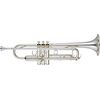 Yamaha YTR-4335GSII B trombita