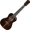 Ortega RUET-ZC elektro-akusztikus koncert ukulele