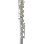 Roy Benson FL-402R2 (RB700.414) fuvola
