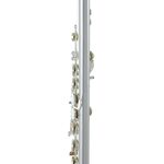 Roy Benson FL-402E2 (RB700.413) fuvola