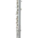 Roy Benson FL-402E2 (RB700.413) fuvola