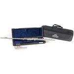 Roy Benson FL-402E2 (RB700.413) fuvola