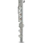 Roy Benson FL-602E (RB700.432) fuvola