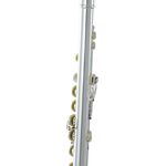 Roy Benson FL-602E (RB700.432) fuvola