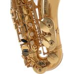 Roy Benson AS-202 (RB700.601) Eb alt szaxofon