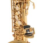 Roy Benson AS-202 (RB700.601) Eb alt szaxofon
