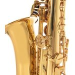 Roy Benson AS-202 (RB700.601) Eb alt szaxofon