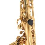 Roy Benson AS-202 (RB700.601) Eb alt szaxofon