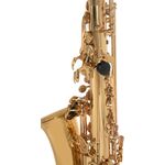 Roy Benson AS-202 (RB700.601) Eb alt szaxofon