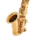 Roy Benson AS-202 (RB700.601) Eb alt szaxofon
