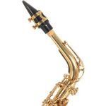 Roy Benson AS-202 (RB700.601) Eb alt szaxofon
