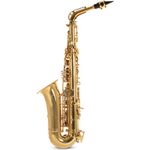 Roy Benson AS-302 (RB700.620) Eb alt szaxofon
