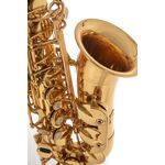 Roy Benson AS-302 (RB700.620) Eb alt szaxofon