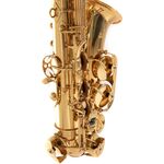 Roy Benson AS-302 (RB700.620) Eb alt szaxofon