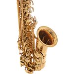 Roy Benson AS-302 (RB700.620) Eb alt szaxofon