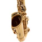 Roy Benson AS-302 (RB700.620) Eb alt szaxofon