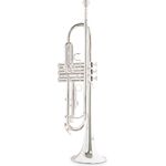 Roy Benson TR-202S (RB701.072) Bb trombita