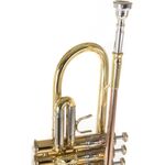 Roy Benson TR-403 (RB701.084) Bb trombita