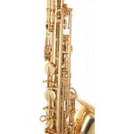 Conn AS501 (703.885) Eb alt szaxofon