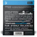 D'Addario EXL220BT Nickel Wound 40-95 basszus gitárhúr