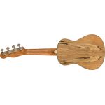 Fender Zuma Exotic Spalted Maple koncert ukulele