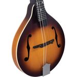 Recording King RAM-3-TS Tobacco Burst A-Mandolin