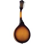 Recording King RAM-3-TS Tobacco Burst A-Mandolin