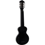 Recording King RG-35-SN steel gitár