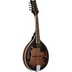 Ortega RMAE30-WB mandolin
