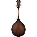 Ortega RMAE30-WB mandolin