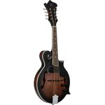 Ortega RMFE30-WB mandolin