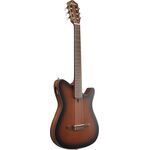 Ibanez FRH10N-BSF Brown Sunburst Flat elektro-klasszikus gitár