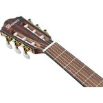 Ibanez FRH10N-NTF Natural Flat elektro-klasszikus gitár