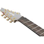 Ibanez RGDMS8-CSM 8-húros elektromos gitár