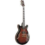 Ibanez AM153QA-DBS Artcore Expressionist elektromos gitár
