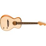 Fender Highway Series Parlor RW Natural elektro-akusztikus gitár